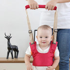 Baby Walker | Standing Assistant |